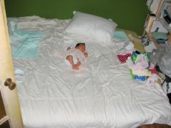 Pillow baby 枕サイズの赤ちゃん