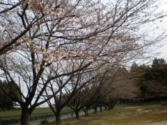 P3280172